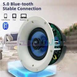 باند سقفی|پکیج 2 بلندگو بلوتوثی سقفی PHOENIX 620A-6100|11,250,000 تومان