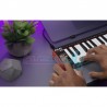 میدی کنترلر|میدی کنترلر AKAI LPK25 MK2|7,000,000 تومان