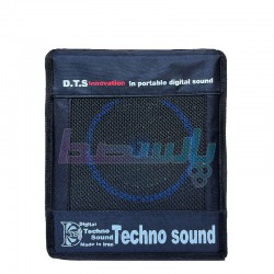 باند قابل حمل - اکو همراه|اکو همراه 6 اینچ دو بیسیم تکنوساند PTR4 6WH|14,500,000 تومان