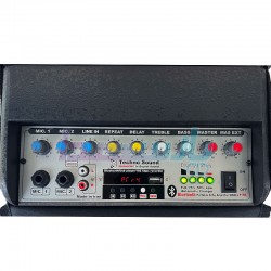 باند قابل حمل - اکو همراه|اکو همراه 6 اینچ دو بیسیم تکنوساند PTR4 6WH|14,500,000 تومان